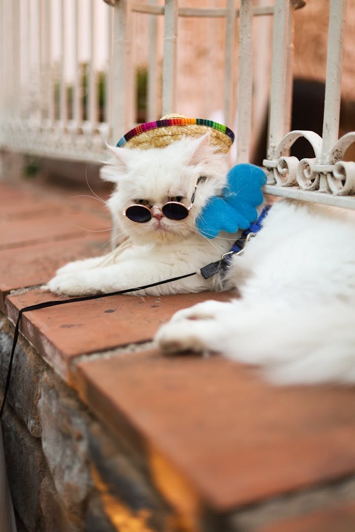 pexels photo 33397020.jpeg